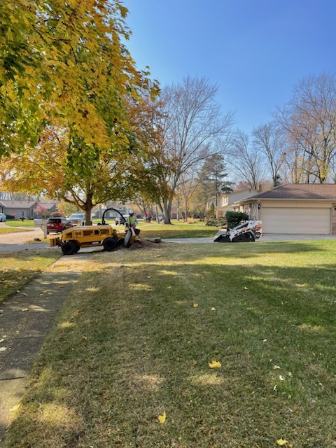 Tree Solutions MI