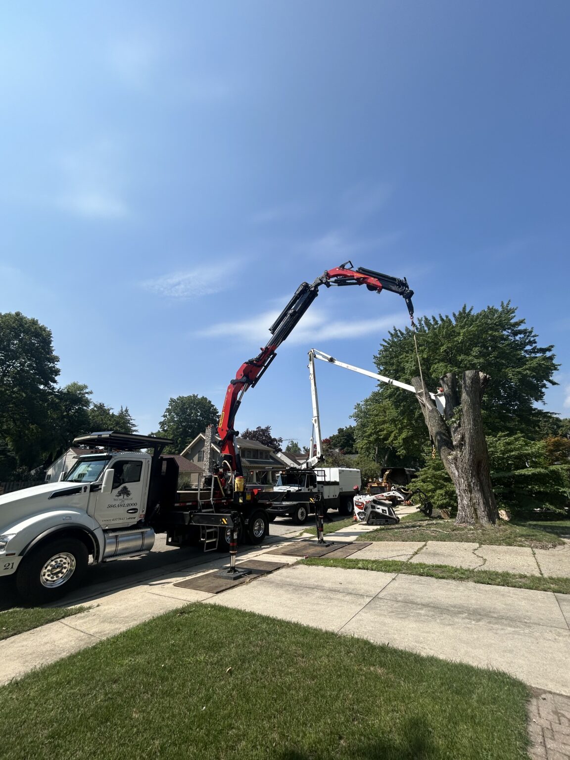 Crane Hoisting Tree Removal | Macomb & Oakland County Experts