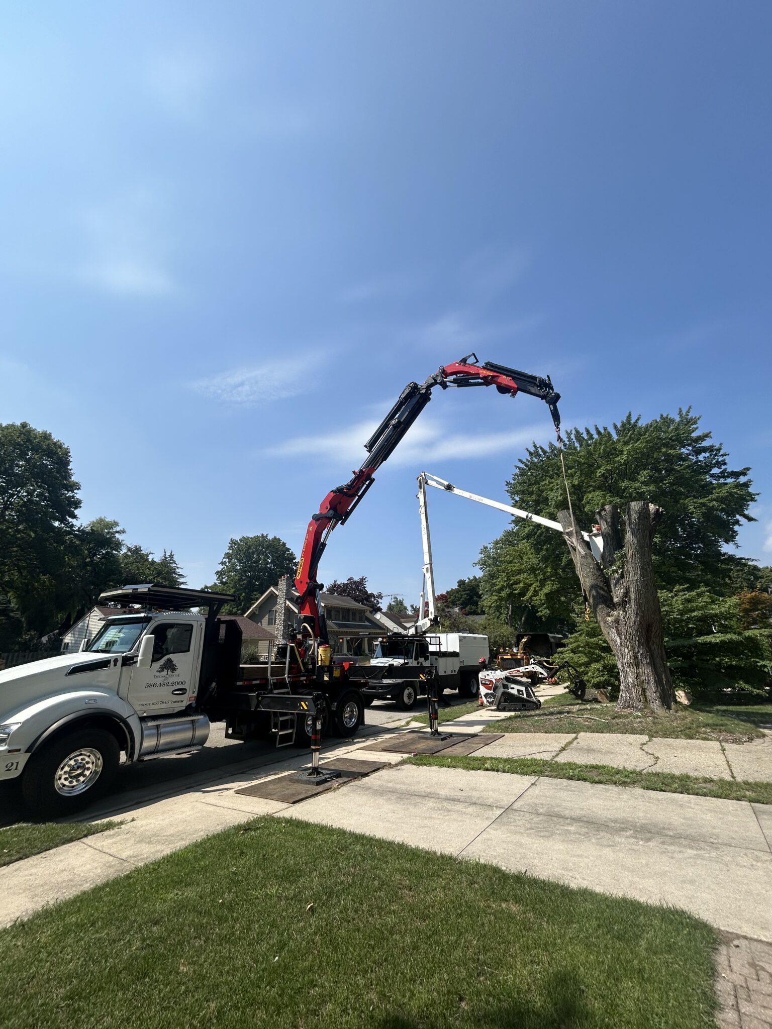 Crane Hoisting Tree Removal | Macomb & Oakland County Experts