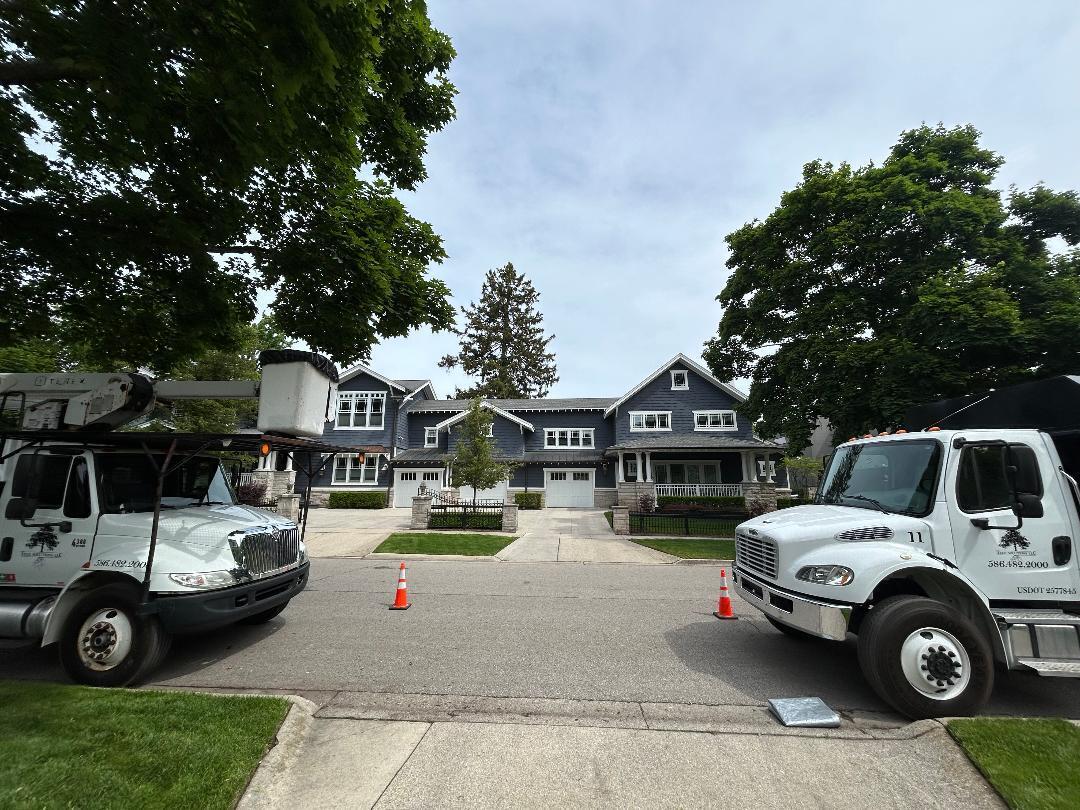 Two professional bucket trucks parked in front of a large residential home, preparing for expert tree trimming and maintenance of mature trees along the street.