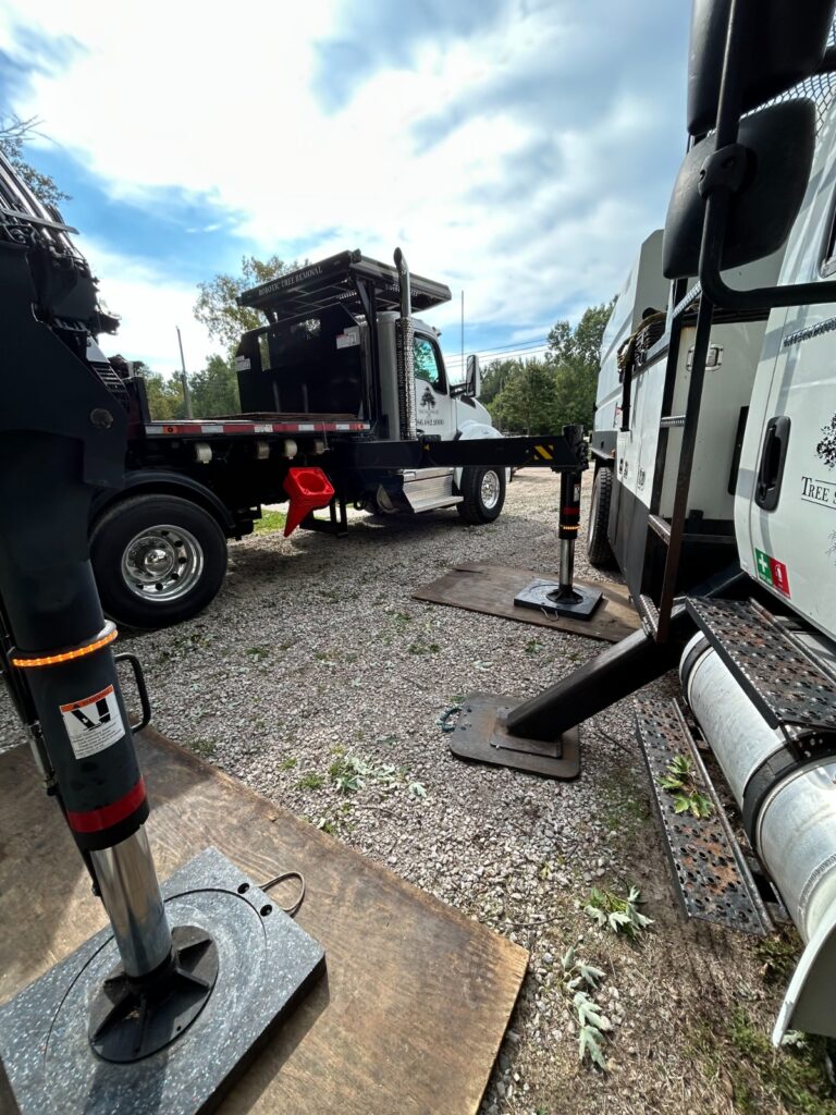 Tree service trucks and crane equipment with stabilizing outriggers set up at a professional tree care facility.